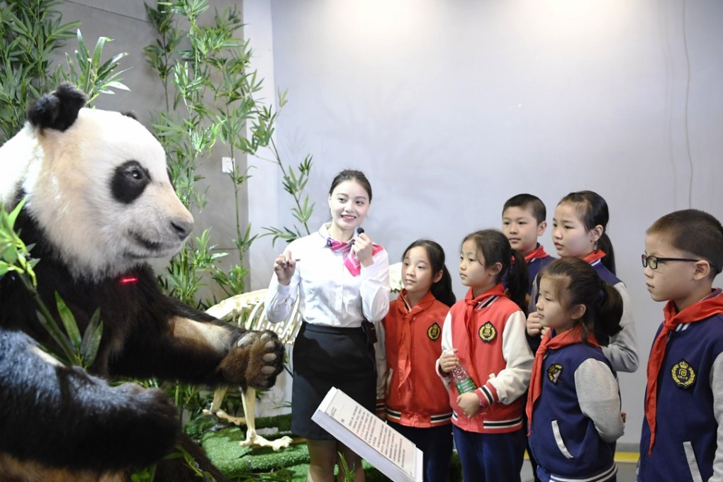 Female panda Xin Nier, who died in 2016 at a research facility, has been preserved in plastic. Photo: CNS