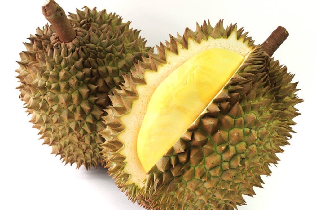 Durian is a tropical fruit known for its strong smell. Photo: Shutterstock