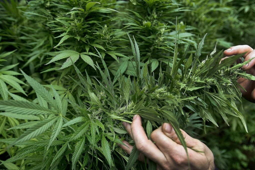 Photo: EPA/Luis Eduardo Noriega