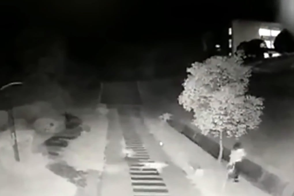 A student is seen trying to escape a pack of dogs on Tuesday in this still from the campus security footage. Photo: Pear Video