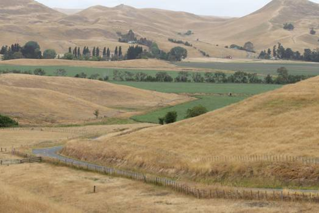 New Zealand's crops could be hit by more - and more serious - disease as climate change brings harsher, longer droughts. Photo: New Zealand Herald