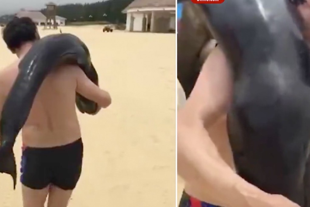Authorities say they have identified the man filmed walking along a beach in southern China with a dead dolphin over his shoulder. Photo: Tencent