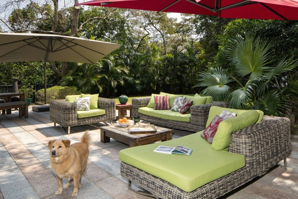 Donna and Digby Shepherd's dog, Leo, enjoys the dappled shade on the terrace of the family’s Sai Kung home. Photography and video: John Butlin. Styling: David Roden. Photography assistant: Timothy Tsang.