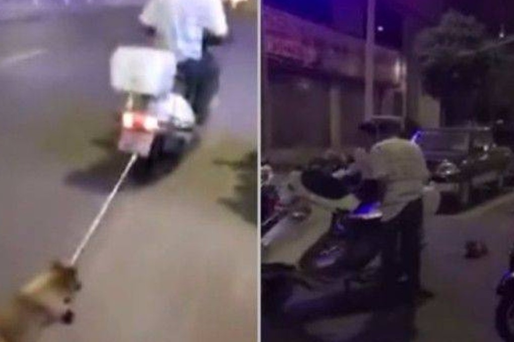 Chinese man filmed dragging dog behind his motorbike | South China ...