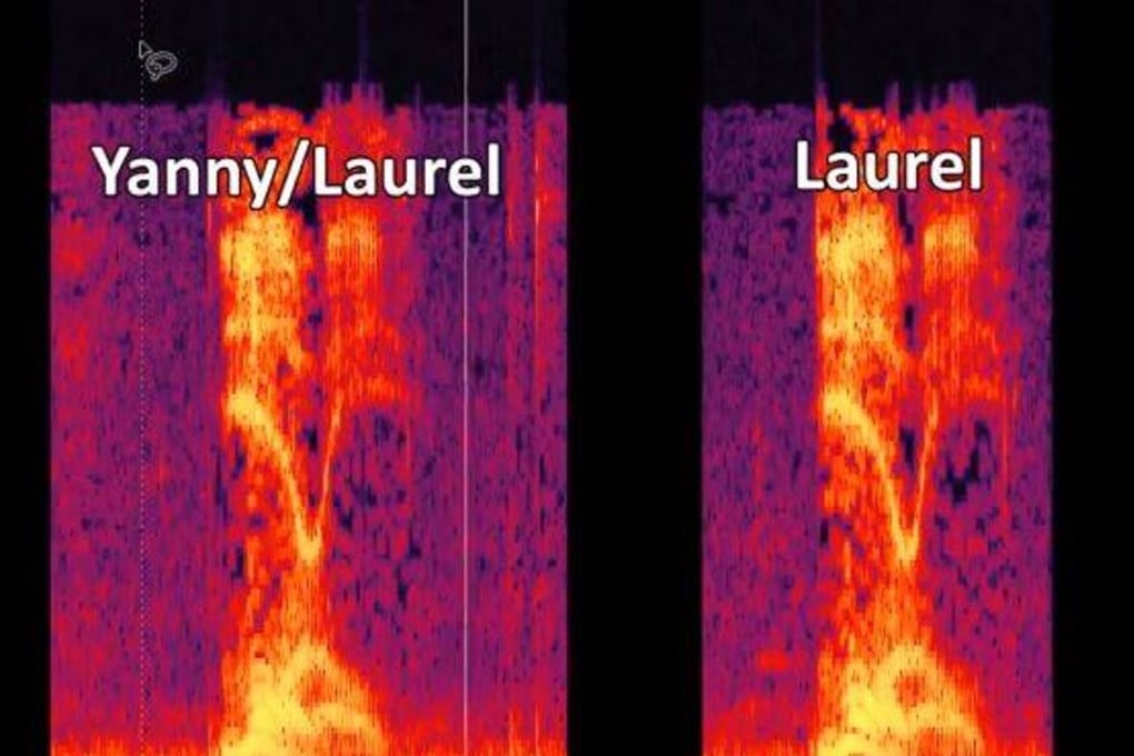 Laurel or Yanny? An auditory analysis of the exasperating phenomenon. Photo: Dylan Bennett