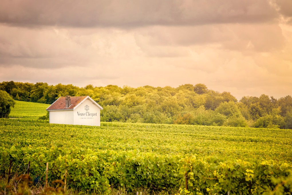 An hour east of Paris, the town of Reims tells the story of how Madame Clicquot defied convention, Napoleon’s trade blockades and bad luck to make one of France’s most famed champagne houses a success