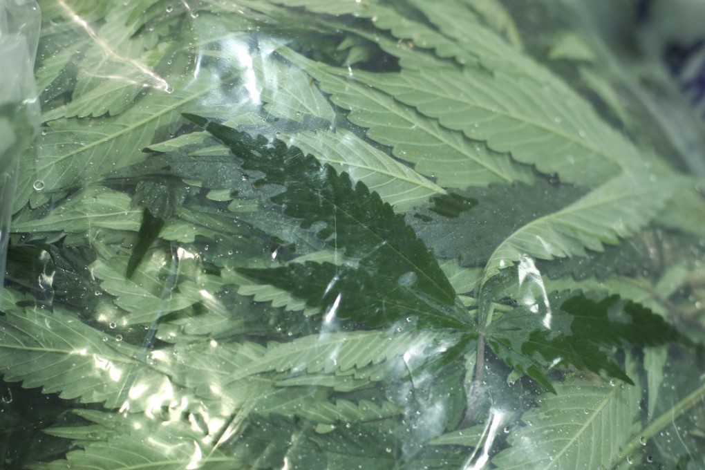 Photo: SCMP/Sam Tsang