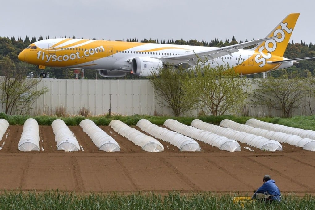 With planes thundering in and out of the airport throughout the day and into the night, it is hardly an idyllic farming existence. Photo: AFP