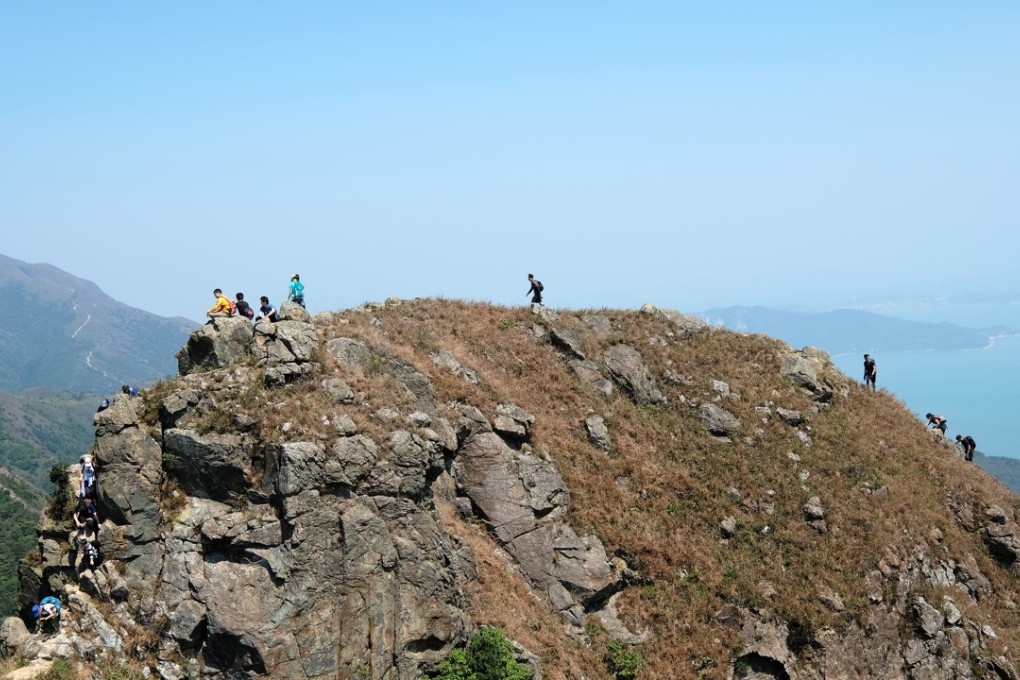 Hikers are being warned about the dangers of taking wild plants home to cook with. Photo: Stanley Shin