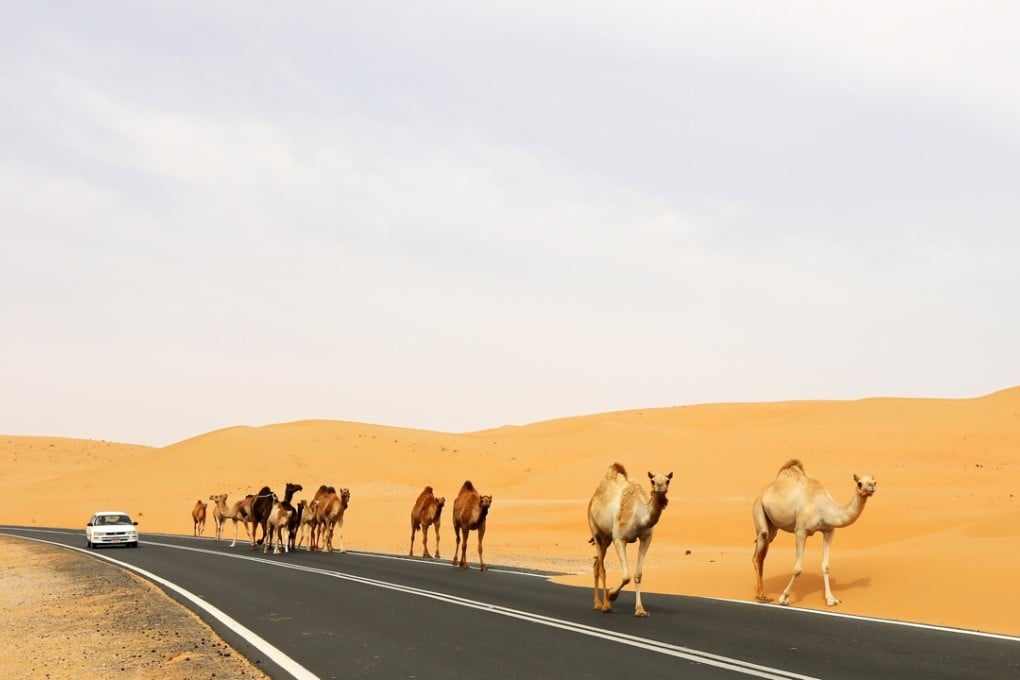 One day all this might be fields and farms. Photo: Xinhua