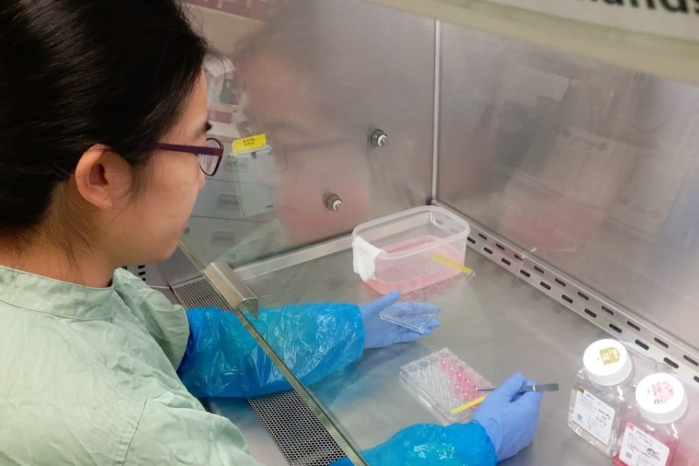 A University of Hong Kong researcher uses a “lung in a test tube” to develop a treatment for the Middle East respiratory syndrome. Photo: Handout