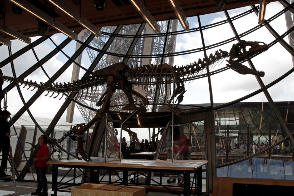 A 150-million-year-old dinosaur skeleton, which is 70 per cent intact, was bought at an auction at the Eiffel Tower in Paris on Monday. Photo: Reuters