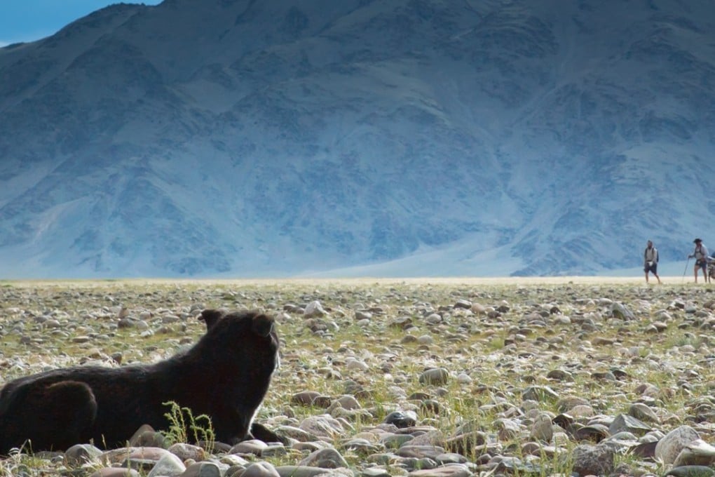 U.B the dog watches over Adam Rolston and Ron Rutland during The Longest Hole. Photo: Andrew King