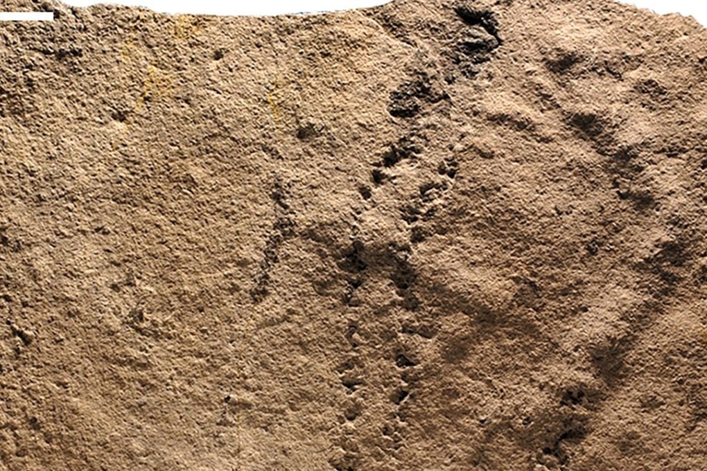 This image courtesy of Zhe Chen and Shuhai Xiao and released by Virginia Tech University shows the earliest known footprints left by an animal on earth. It is unclear what kind of creature left the tracks, which lie just a few millimeters apart and look like a two rows of shallow depressions, or holes, marked in the dark gray limestone. Photo: Virginia Tech via AFP