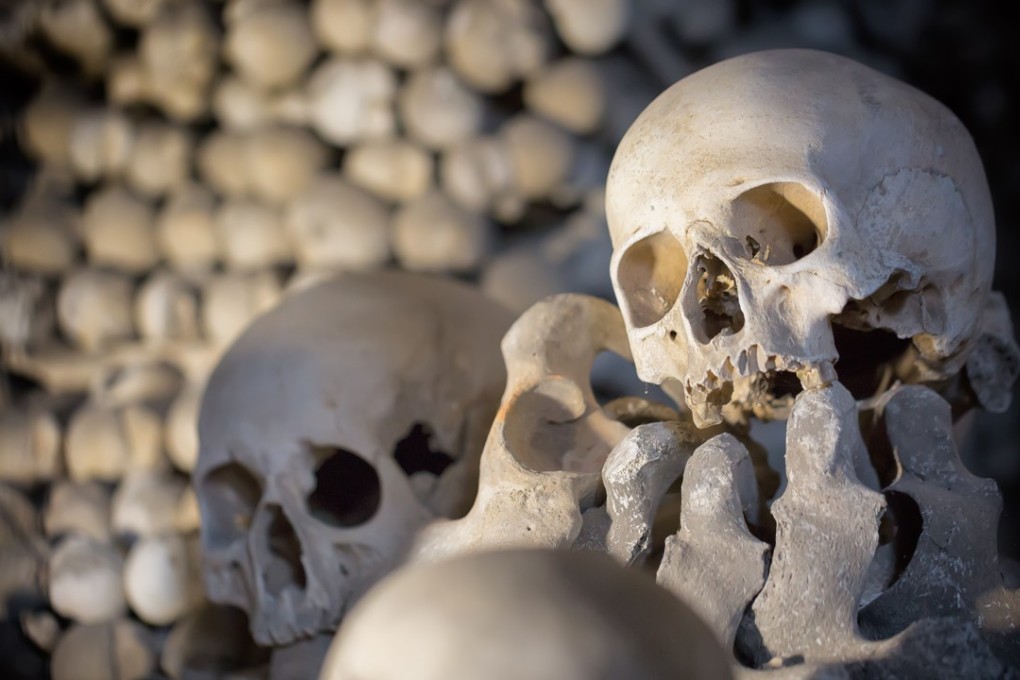 A stock image showing a pile of skulls. Photo: Shutterstock