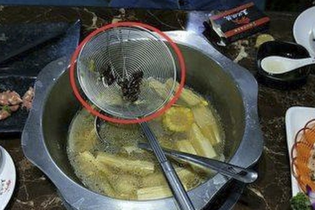 Two women from southern China said they found eight dead cockroaches in their hotpot. Photo: News.163.com