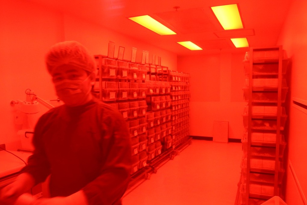 The non-infectious animals room at the University of Hong Kong in Pok Fu Lam. Photo: David Wong