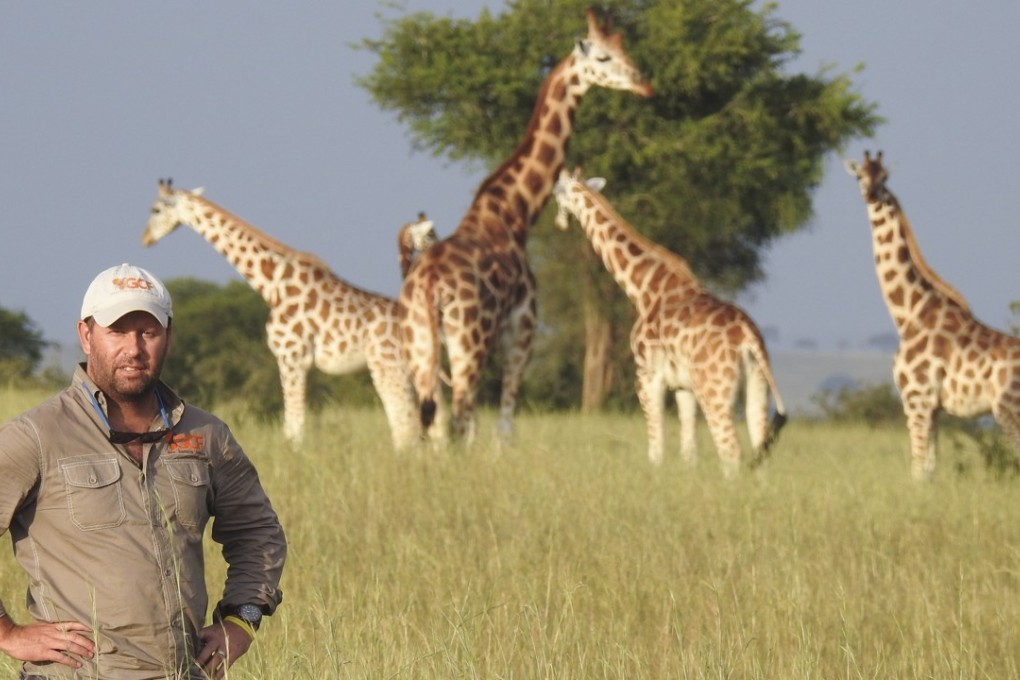 Dr Julian Fennessy specialises in studying giraffes and their habitat. Photo: Courtesy of Fennessy, Giraffe Conservation Foundation