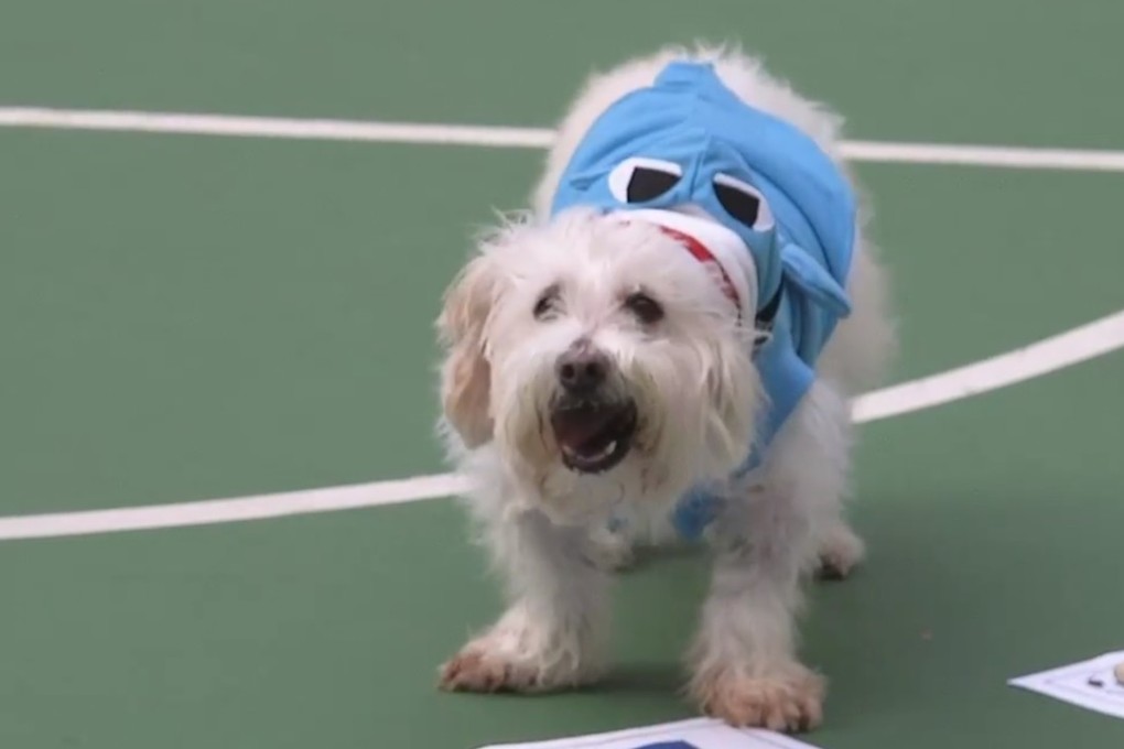 Datou makes his prediction for the 2018 World Cup winners.