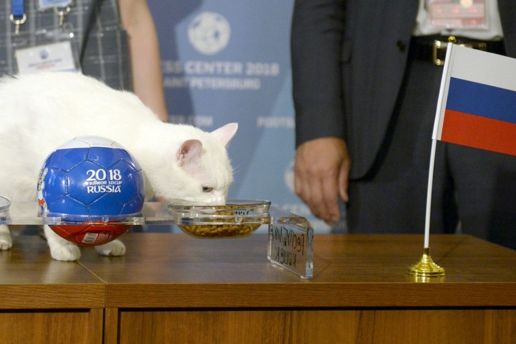 Achilles the cat has patriotically predicted that Russia will beat Saudi Arabia in the opening World Cup match tonight.