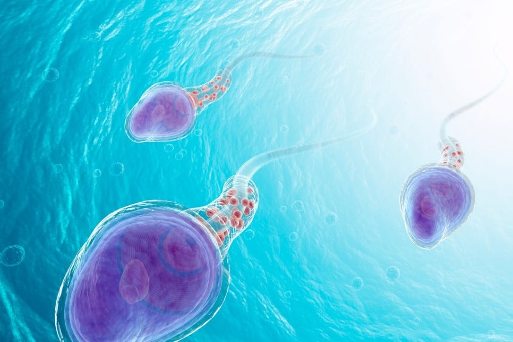 There are many ways for men to improve their sperm health and fertility. Illustration: Alamy