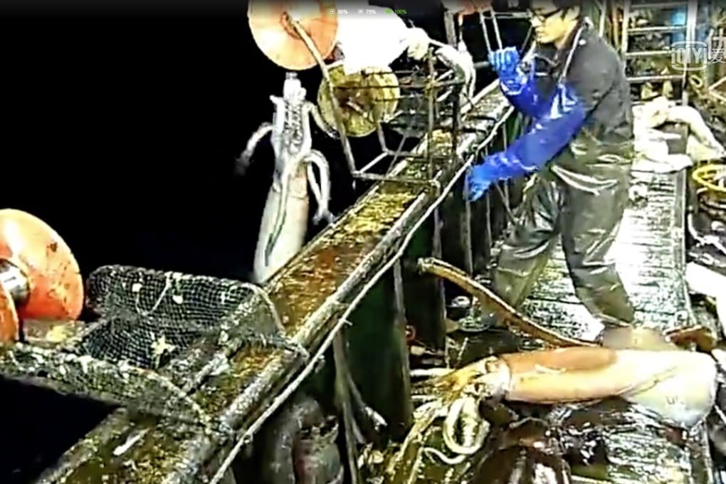 A squid jigging ship operating in international water. Photo: iqiyi.com