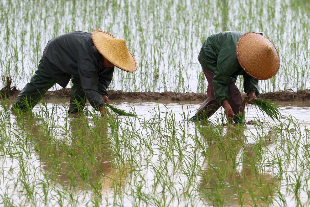 A handful of China’s biggest developers have begun to expand into the rural market, be it investment in agriculture or building communities and homes. Photo: Xinhua