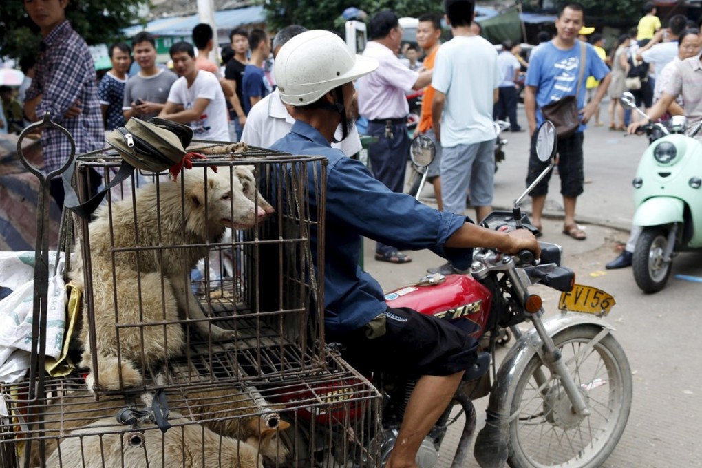 A vendor travels to the Dashichang market on the day of the local dog meat festival in Yulin, Guangxi, in June 2015. At the market, some dogs are sold as pets while others are sold for their meat. Photo: Reuters