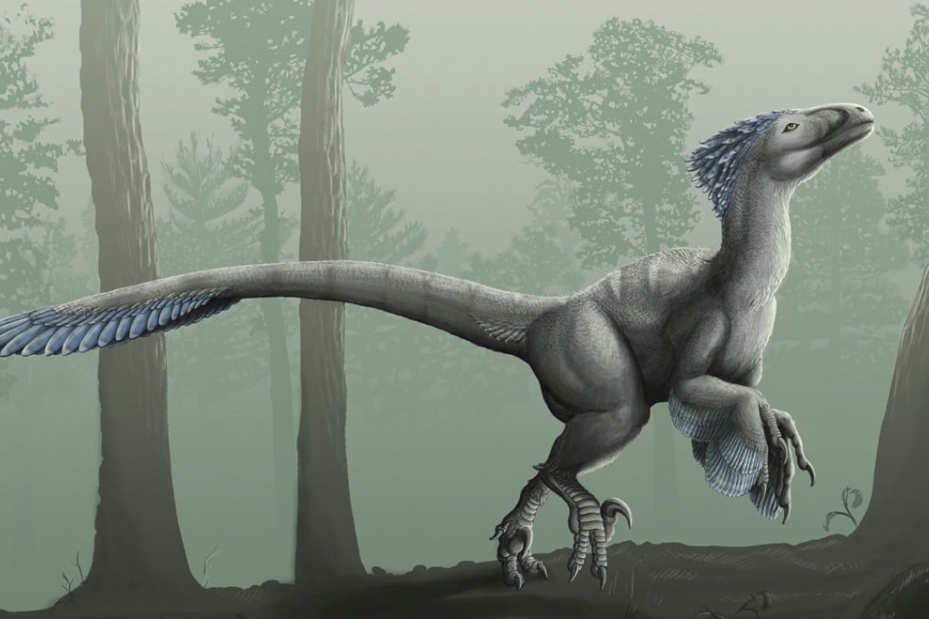 Deinonychus antirrhopus is a species of dinosaur that likely provided the inspiration for the raptors seen in the Jurassic Park films. Photo: Alamy