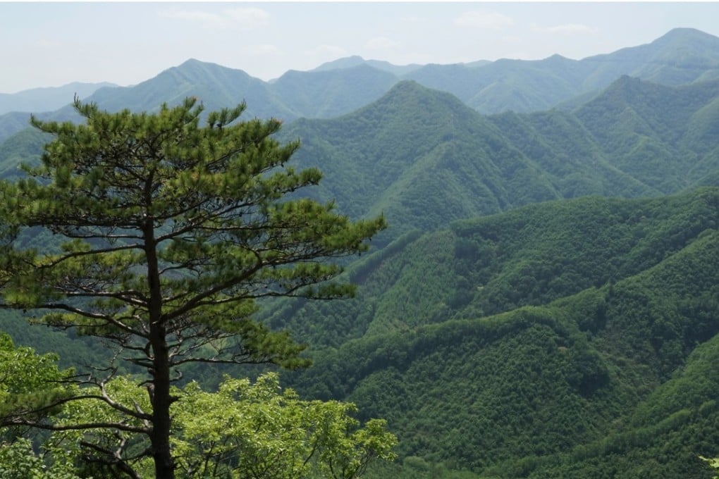 A view from the Ultra Baugil trail in Gangneung, South Korea. Photo: Matthew Crawford