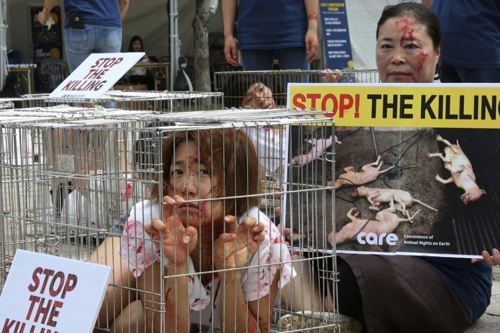 An animal rights activist in Seoul protests against South Korea's culture of eating dog meat. Photo: AP