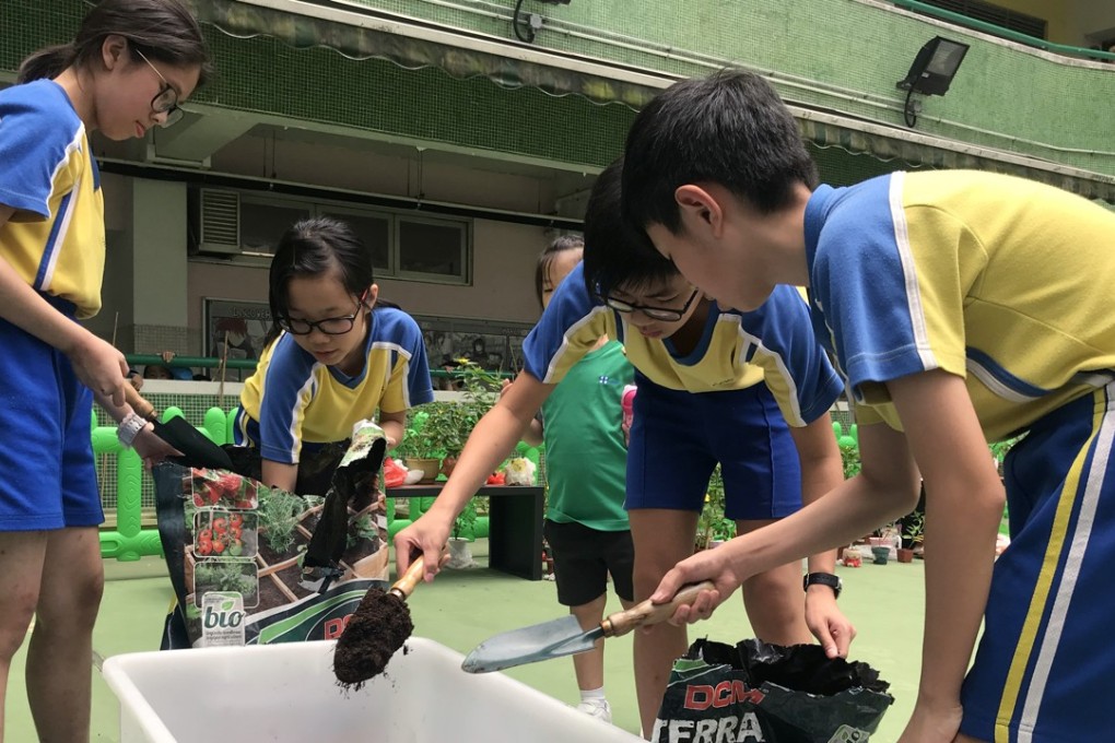 The process requires pupils to add different layers of sawdust to their food waste, wait two weeks for it to ferment, and mix it with soil for a month. Photo: Zoe Law