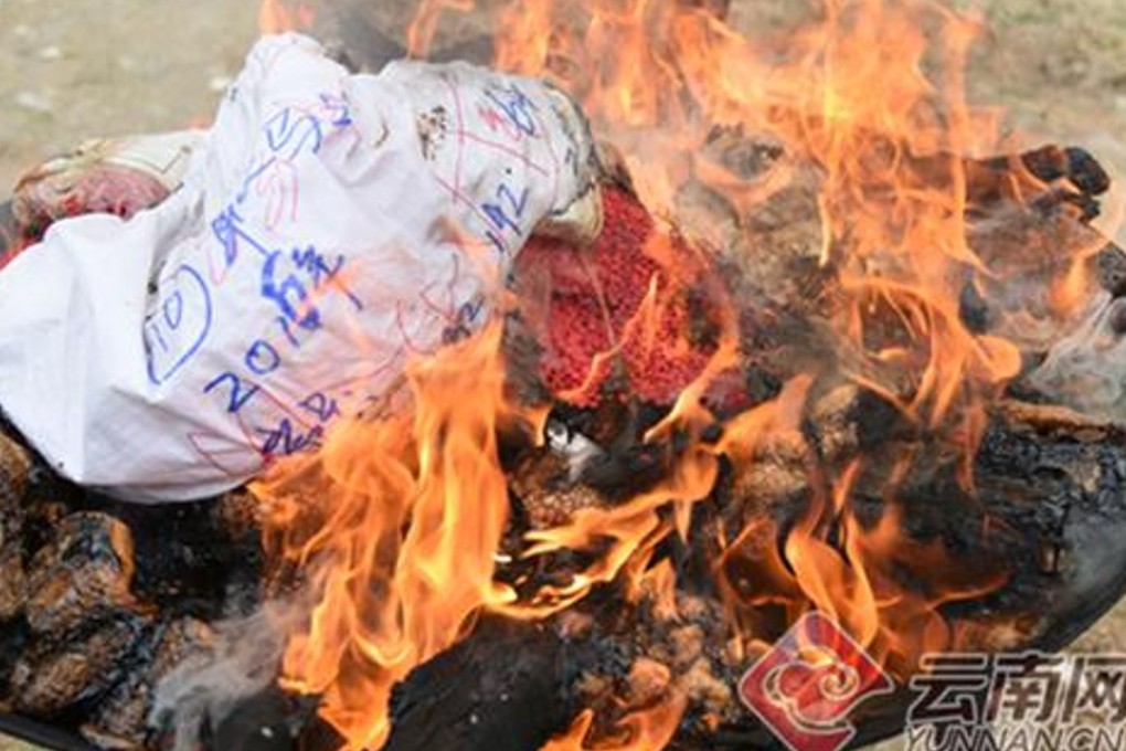 Authorities in southwest China set fire to almost 4 tonnes of confiscated narcotics in a bid to raise awareness of the dangers of drug use. Photo: Sina.com.cn