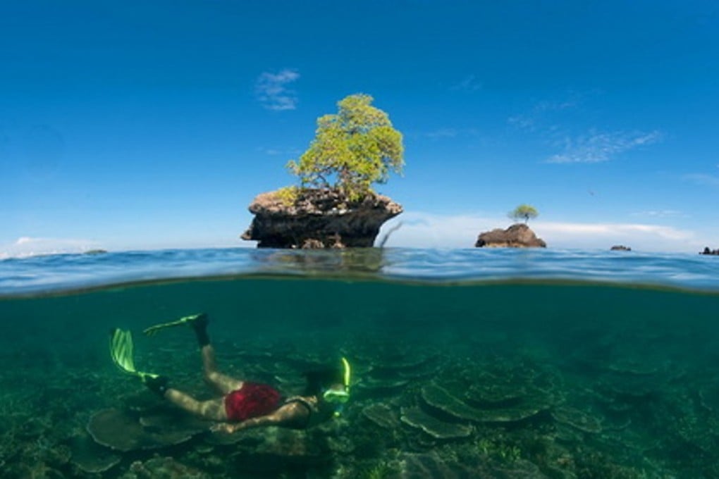 Ending destructive fishing methods is essential to coral health in Tun Mustapha Marine Park. Picture: WWF
