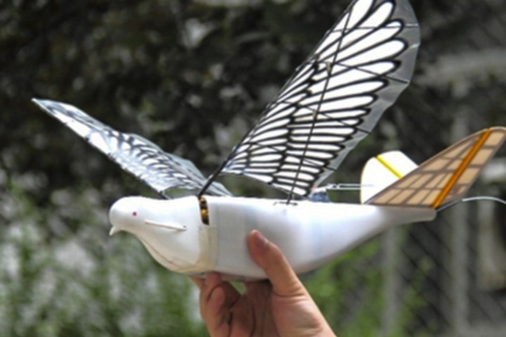 It might not look like much, but China’s new Dove drone has powerful surveillance capabilities and even feels real birds. Photo: Northwestern Polytechnical University
