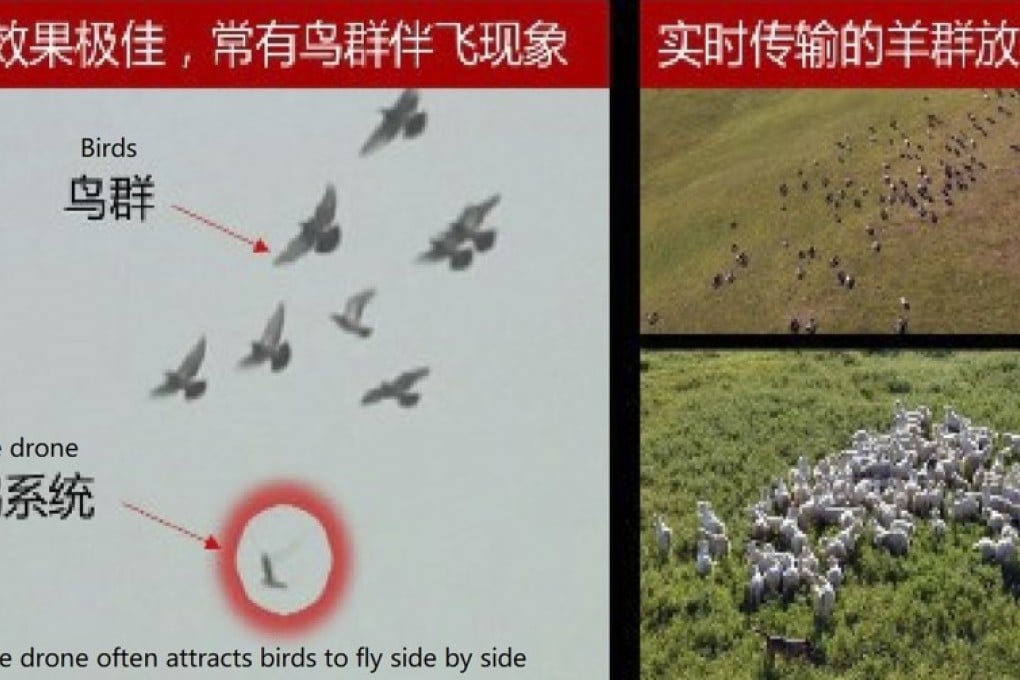 Government bird drones discount