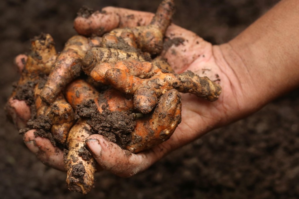 Turmeric has gained a reputation as a superfood. Picture: Alamy