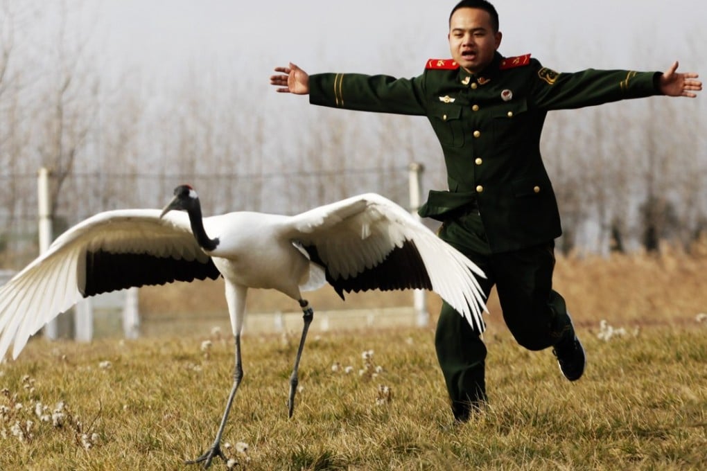 A Chinese soldier with a red-crowned crane in Yancheng, Jiangsu province. Photo: Xinhua
