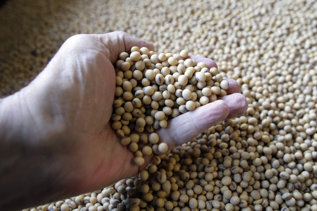 China imports nearly 100 million tonnes of soybeans a year, accounting for about 60 per cent of the world’s market. Photo: AP