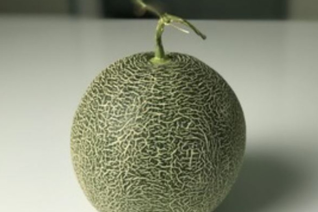 Melons are favourite targets for Japan’s yakuza, although the returns are not huge and the work difficult and tiring. File photo: Shutterstock