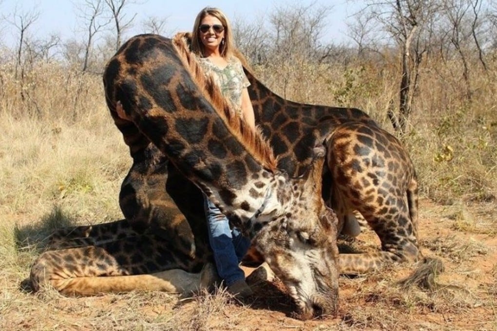 Tess Thompson Talley, 37, poses with a giraffe she killed on a hunting trip last summer. Photo: Facebook
