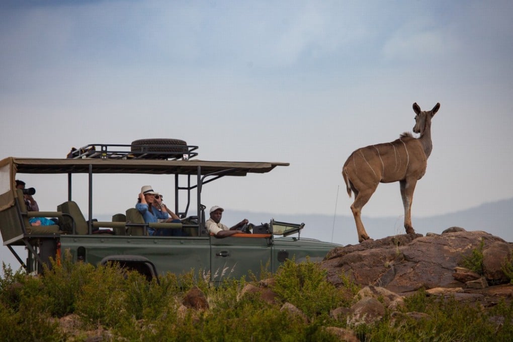 A game drive in the Loisaba Conservancy in Kenya’s Laikipia county. Pictures: courtesy of Loisaba Conservancy