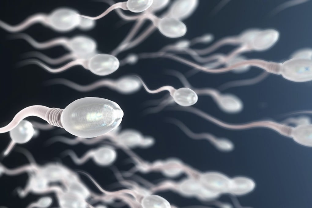 Eating an additional 60 grams of nuts a day on top of a regular Western-style diet raised the number of sperm produced and their vitality, movement and shape, a scientific trial by Spanish researchers found. Photo: Shutterstock