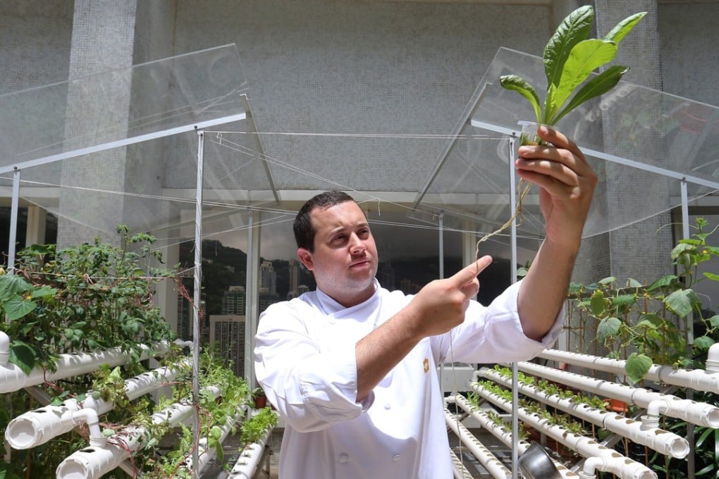 Ricardo Chaneton, chef de cuisine at Petrus, on the top floor of the Island Shangri-La hotel, is one of the first restaurants in the city to have set up a rooftop garden. Photo: Dickson Lee