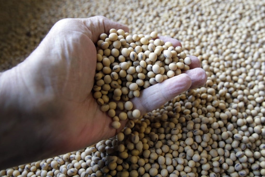 China can increase soybean imports from other countries to reduce its reliance on the United States, the boss of a state-owned grain trader said on Wednesday. Photo: AP
