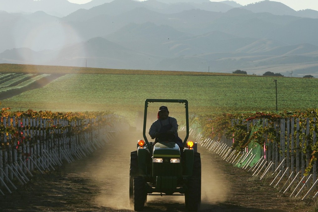 A California vineyard, which could be seriously affected if the trade war between the US and China deepens. Photo: AFP