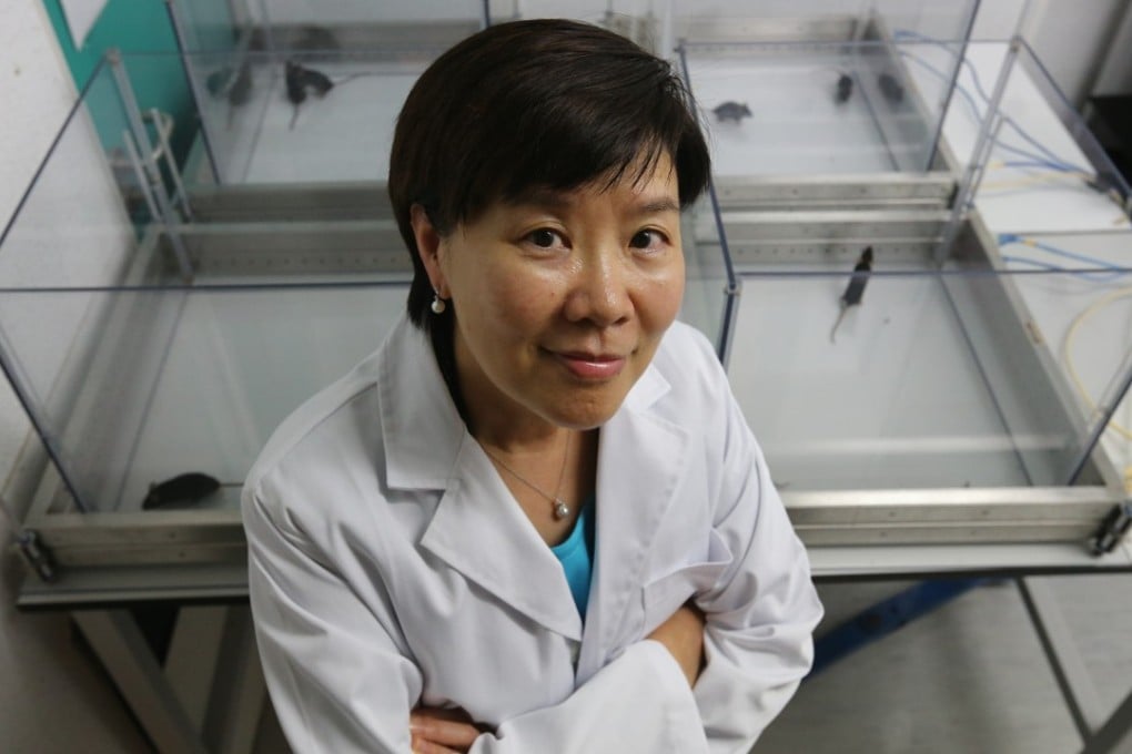 Professor Nancy Ip will lead the Alzheimer’s disease project. Photo: Dickson Lee
