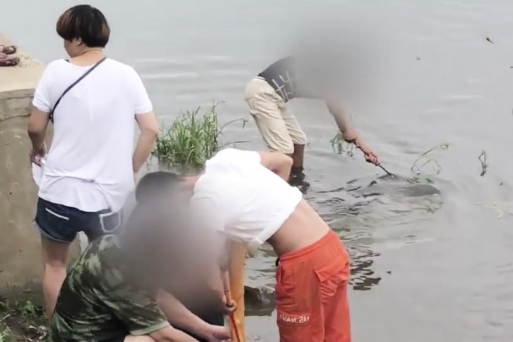 People scoop up thousands of tiny fish just moments after they are released into a lake in northeast China on Sunday. Photo: Pearvideo.com