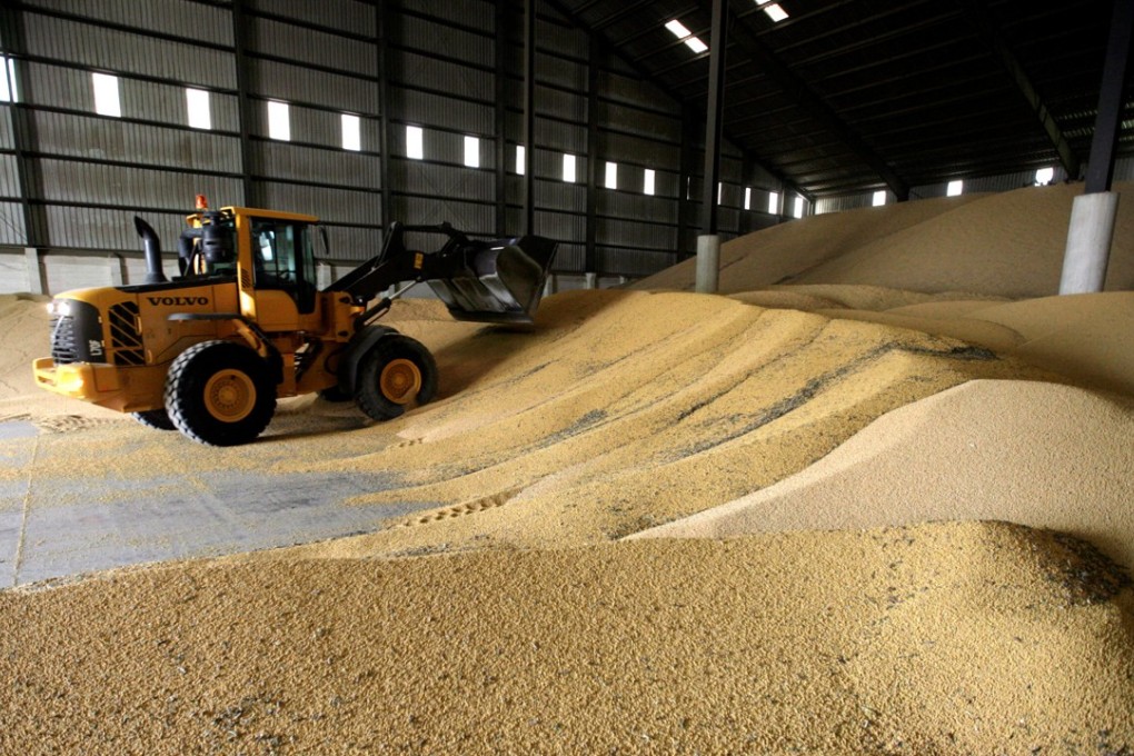 Soybean is the top agriculture commodity China imports from the US. Photo: Reuters