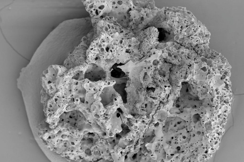 A 14,500-year-old breadcrumb found in Jordan. Photo: Lara Gonzales Carratero